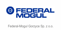 Rekomendacja D (KNF) 14 securepro_ref_federa-mogul_gorzyce_200px.png